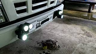 Download lagu d blue water led on my isuzu elf mp3 Download lagu d blue water led on my isuzu elf mp3