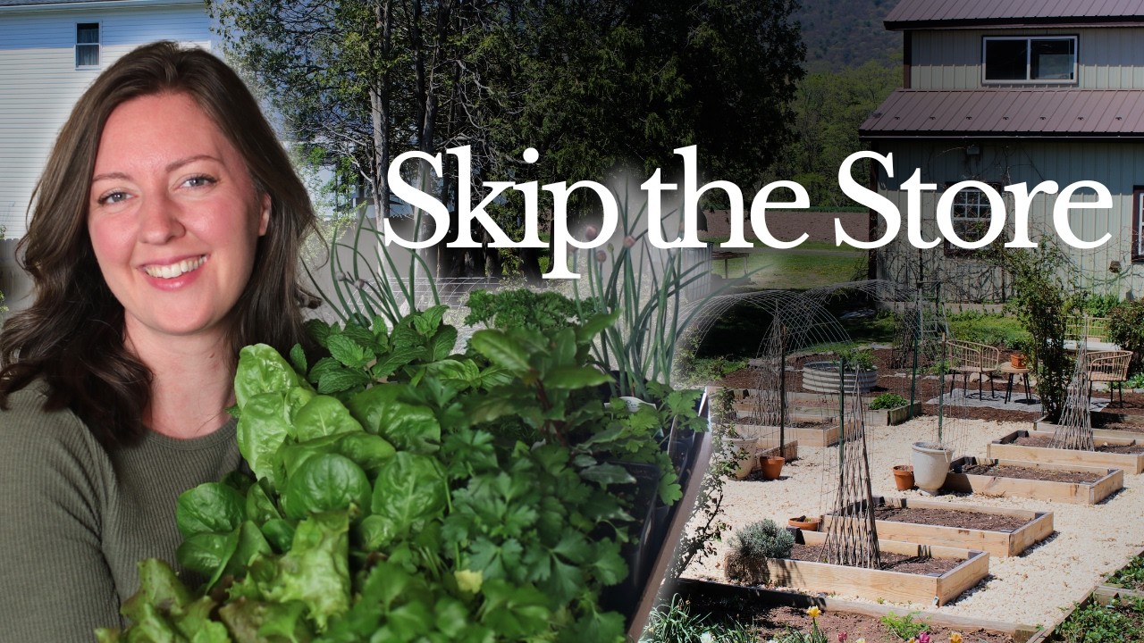 What I’m Growing to Cut Back on Groceries (And What I’m Not)