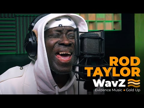 Rod Taylor & Little Lion Sound - Mr. Money Man | WavZ Session [Evidence Music & Gold Up]