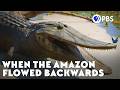 When The Amazon Flowed Backwards