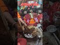 Daily Live Darshan Maa Chintpurni Darbar Jaimatadi Sonuchintpurni Chintapurni