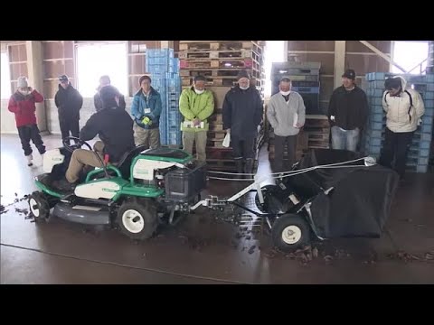 なぜ庭に硫黄を使うのですか？欠かせない4つの美徳  庭園