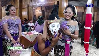 Download lagu TANGAN KUCING BERANI PEGANG mp3 Download lagu TANGAN KUCING BERANI PEGANG mp3