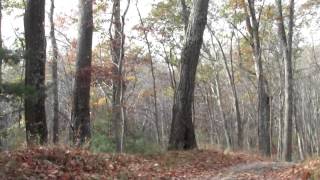 preview picture of video 'Bay Circuit Trail : Ipswich MA Willowdale State Forest Part 1.'