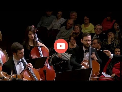 Consonantis - Înger alb