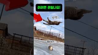 유튜브 썸네일