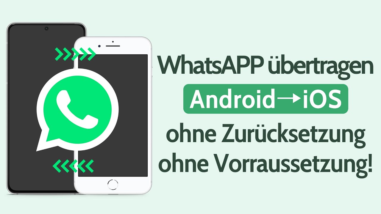 Video-Tutorial zur Übertragung von WhatsApp-Daten