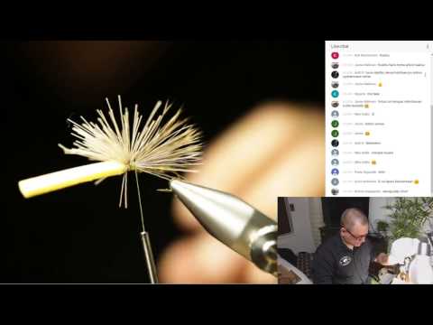 Pyssykylä Live Perhonsidonta 3.2.2017