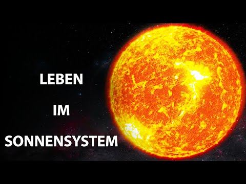 Vielleicht ist die Erde überhaupt nicht unsere Heimat?