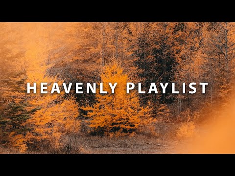 A Heavenly Playlist | Novo Amor | Tony Anderson | Sød Ven