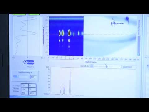 Diacetyl detection in beer with GC FAIMS