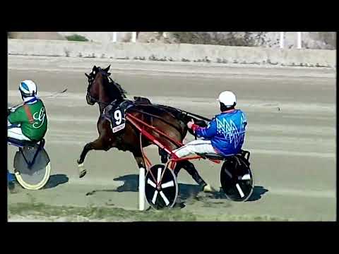 Napoli Trotto 25/01/2022 - 2ª corsa