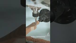 Máy Cnc 12 trục 48 dao Woodmaster năng suất siêu nhanh