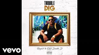 Trouble - Dig
