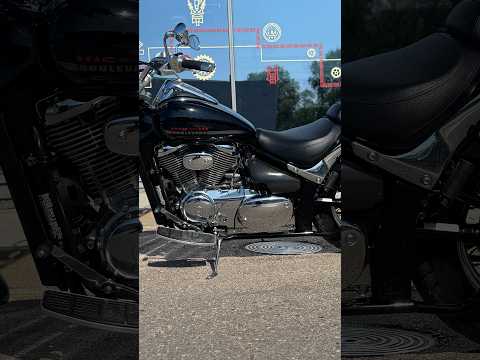 Suzuki VL 800cc, choppers / cruisers / custom