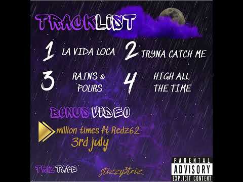 Stizzy3Triz - La Vida Loca
