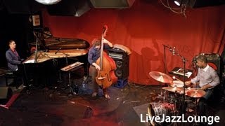 Vijay Iyer Trio, Jazzklubb Fasching, April 2010