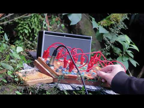 Ciat Lonbarde Cocoquantus Ambient - Song for the Fairy Wrens