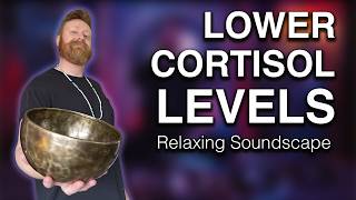Lower Cortisol Levels with This Soothing Soundscape | Healing Frequencies Cortisol Reducing Music