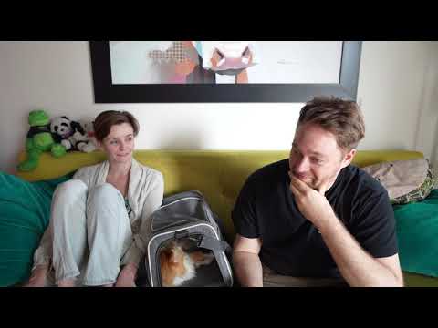 Quarantine Life - BZ Vlogs 11