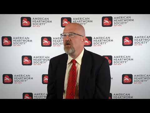 Factors in Determining a Canine Heartworm Treatment Protocol