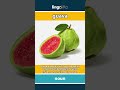 guava - a sweet tropical fruit that... video thumbnail