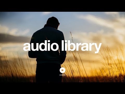 Live The Life – Edwin Ajtún (No Copyright Music) Video