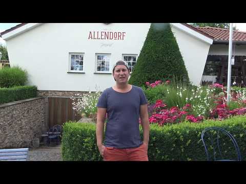Weintaxi Wiesbaden - Weingut Allendorf - Vorstellung