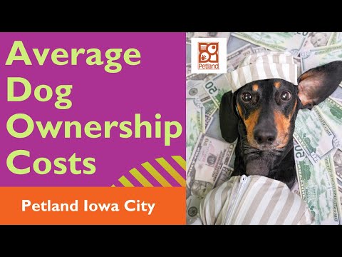 Average Dog Ownership Costs