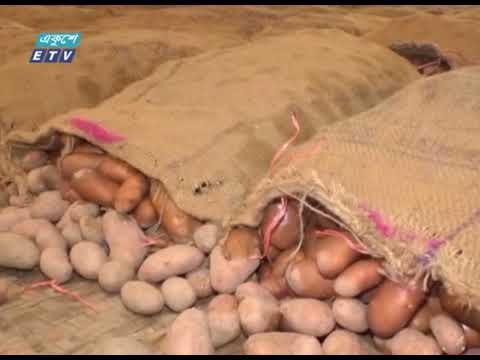 আসছে আমদানির আলু, কমছে দাম