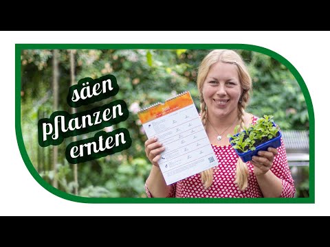 Sowing and planting from July onwards | Much is still possible | Gardening tips - Sowing, plantin...