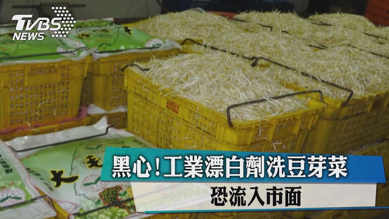 黑心!工業漂白劑洗豆芽菜 恐流入市面
