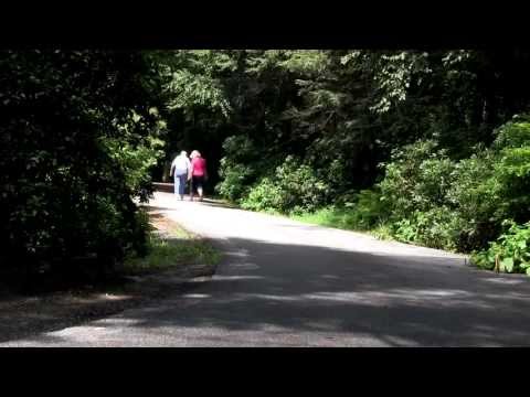 RE/MAX Around New England