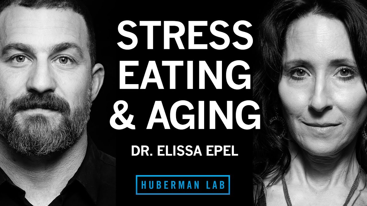 Dr. Elissa Epel sur Huberman Lab