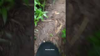 Download lagu bahan story whatsappmu #masukberanda #harusberanda #viralvideo #mountains #bismo #pendaki #video mp3