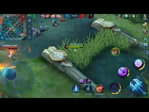 Montage lesley mayhem