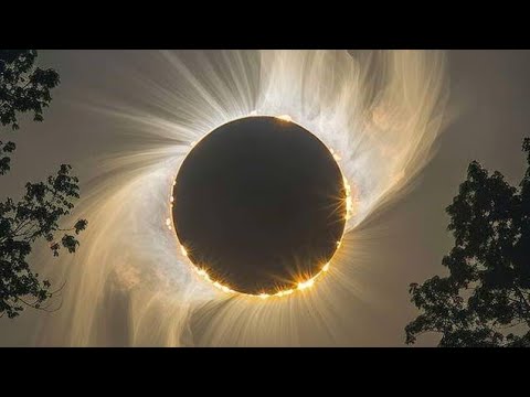 Tokischa. Bellaca versión Concierto.