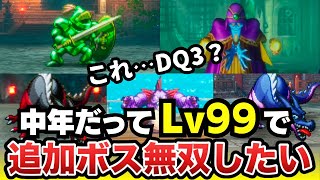 【ドラクエ3リメイク】Lv99中年勇者がMOD追加ボス5体を無双してみた（ラスボスより強い）
