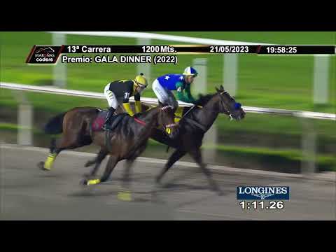 230521 C13 - GALPONEADO - HIPODROMO DE MAROÑAS