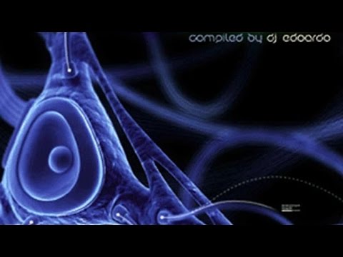 Intelabeam & X-Noize - Something New