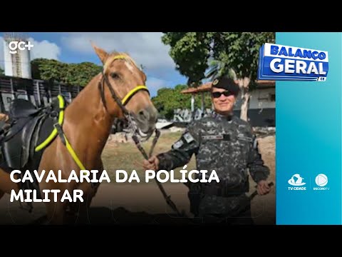Cavalaria da Polícia Militar: conheça mais | Balanço Geral CE