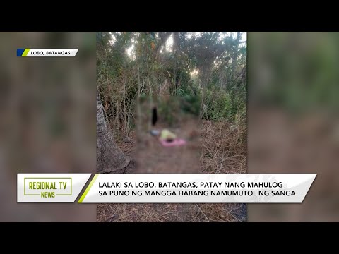 Regional TV News: Lalaki sa Lobo, Batangas, patay nang mahulog sa puno ng mangga