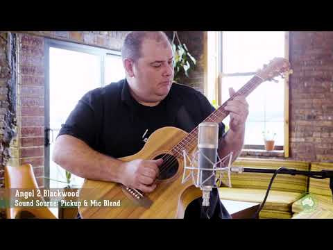 Cole Clark AN2EC-BLBL Acoustic Electric image 11