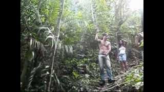preview picture of video 'Tarzan Brasileiro'