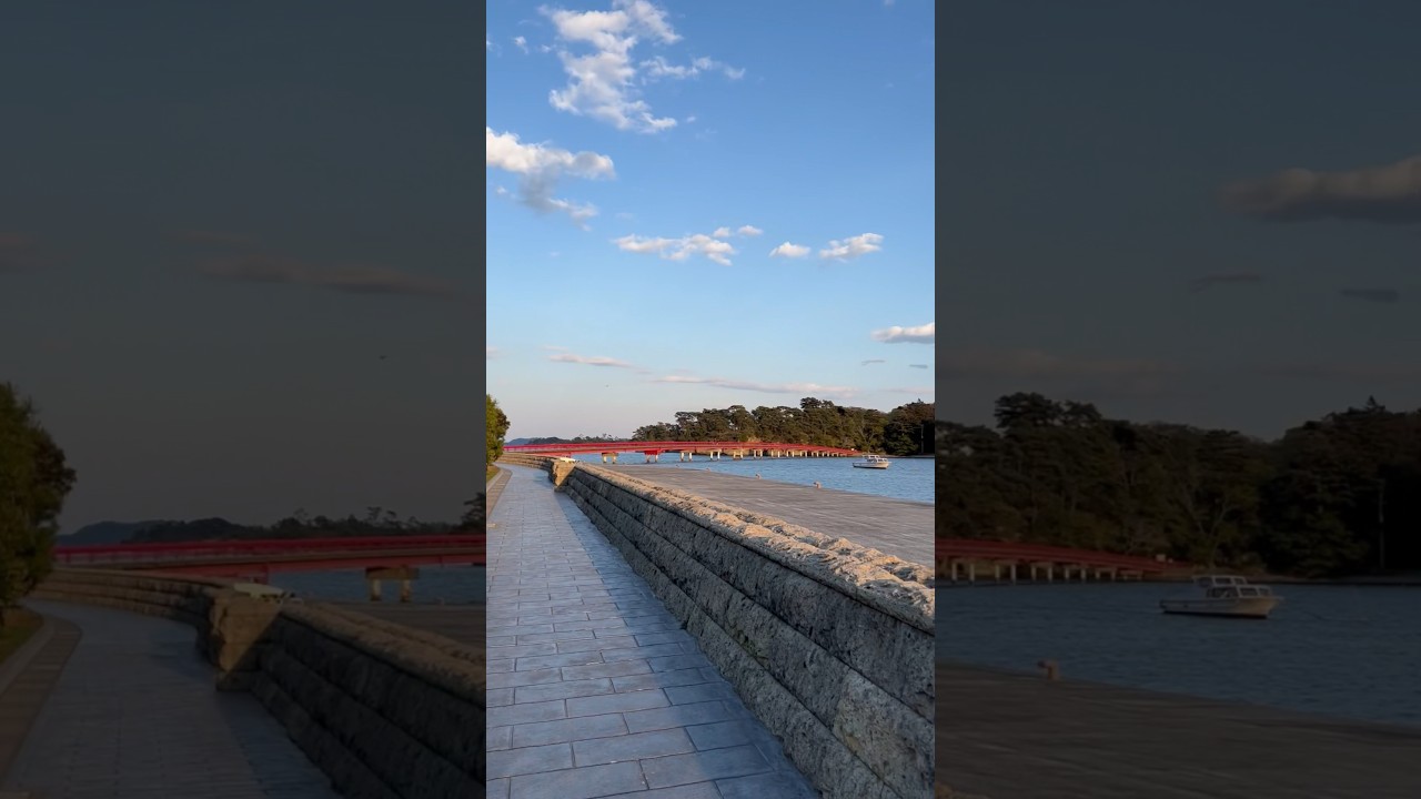 YouTube Short thumbnail