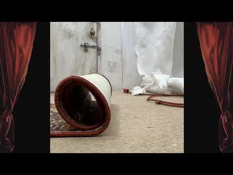 Upcoming Episode: What’s in store for Li’l Chrissy?!