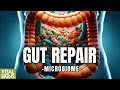 Counter Colon Cancer Colitis Irritable Bowel By Eating This Homemade Yogurt