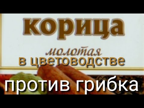 Корица против грибка!