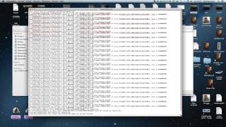 Wineskin: How to do a test debug run