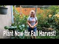 Garden Planting For Fall Cold Climates